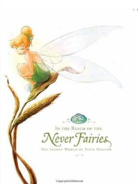 LOOKING FOR: Disney Fairies Books! 📚